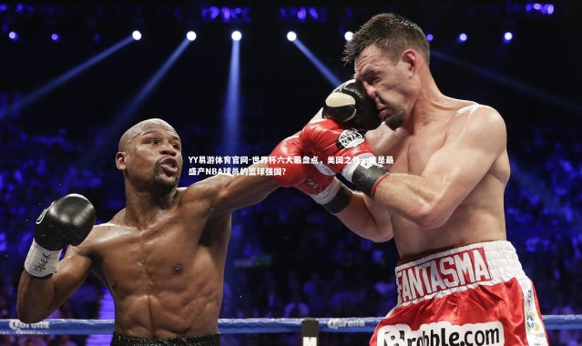 YY易游体育官网-世界杯六大最盘点，美国之外，谁是最盛产NBA球员的篮球强国？