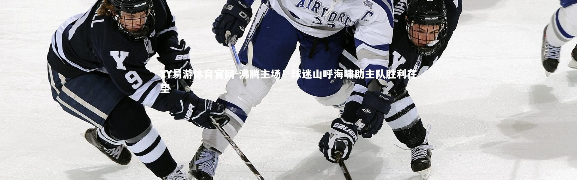 YY易游体育官网-沸腾主场！球迷山呼海啸助主队胜利在望