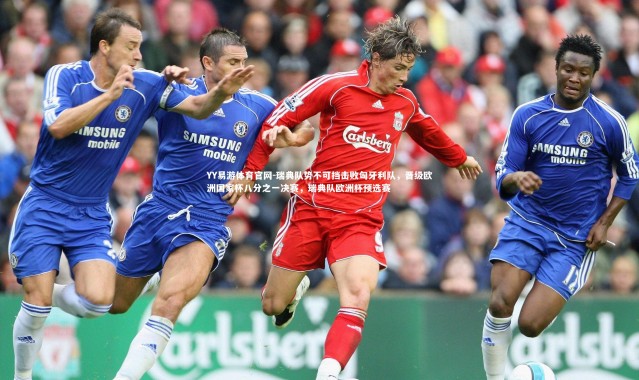 YY易游体育官网-瑞典队势不可挡击败匈牙利队，晋级欧洲国家杯八分之一决赛，瑞典队欧洲杯预选赛